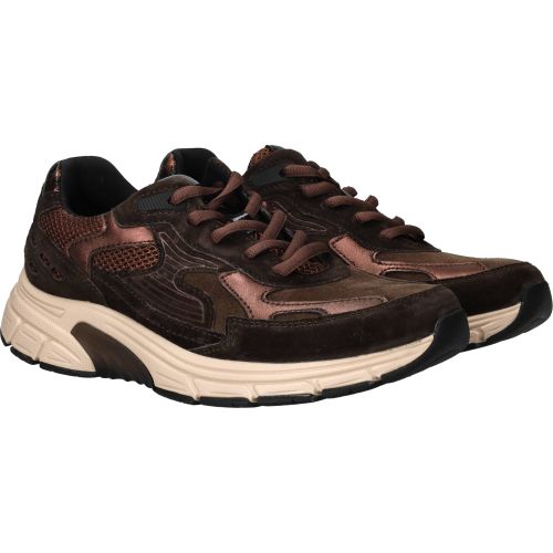 Durlinger Gabor Rollingsoft