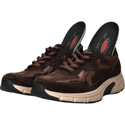 Durlinger Gabor Rollingsoft