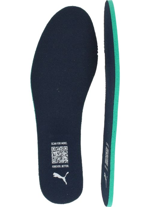 Durlinger Puma Caven III OG