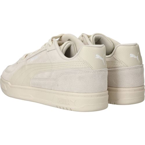 Durlinger Puma Caven III OG
