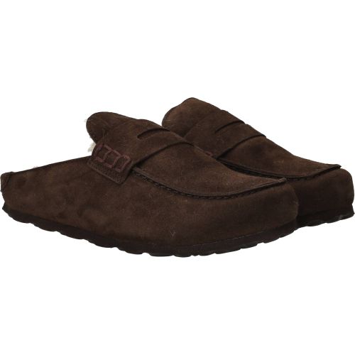 Durlinger Verbenas Movy Coccon