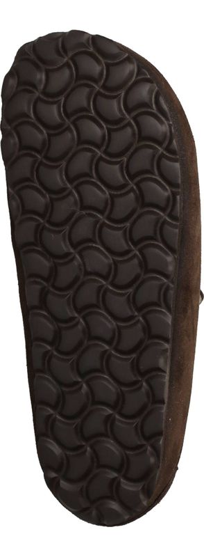 Durlinger Verbenas Movy Coccon