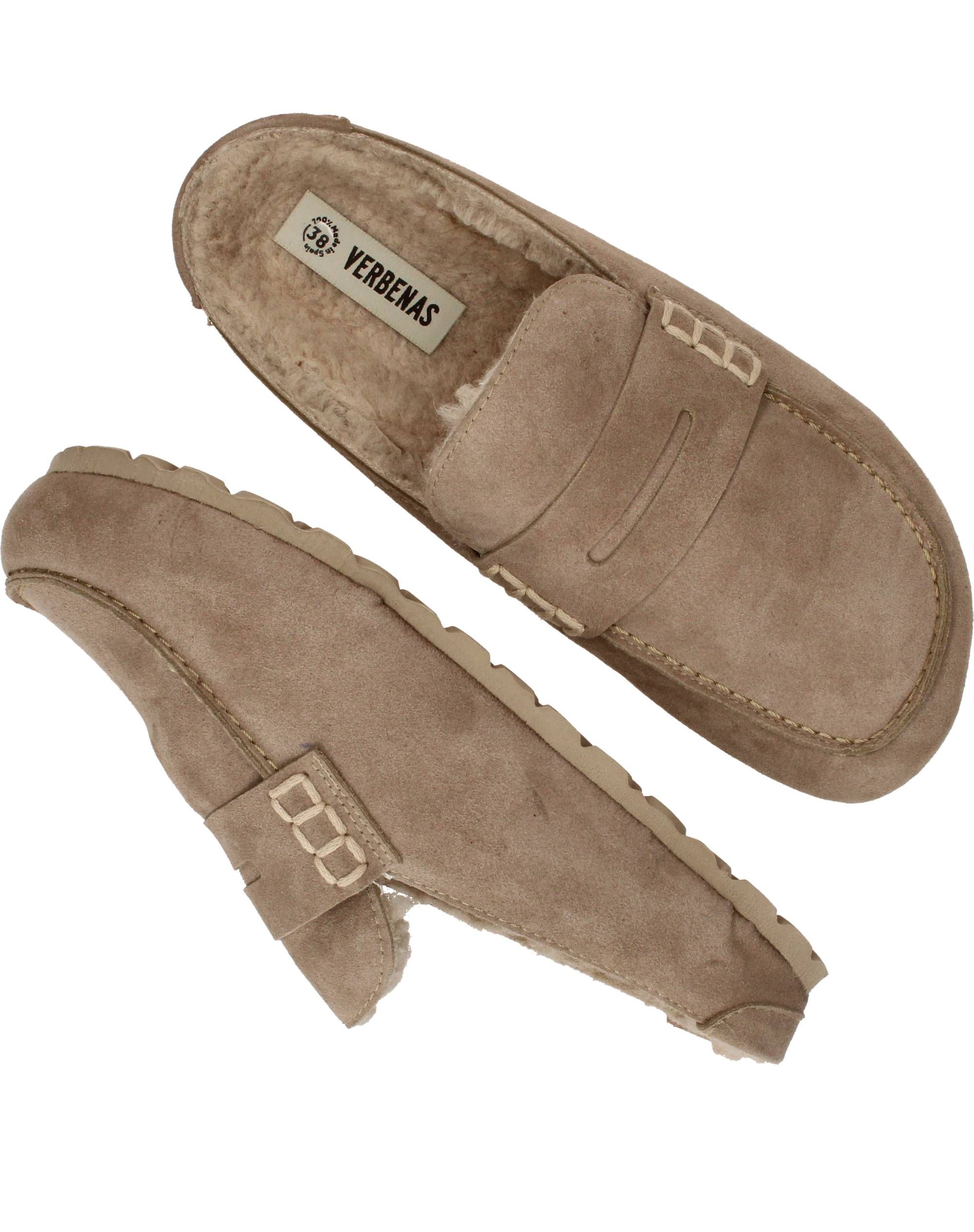Durlinger Verbenas Movy Coccon