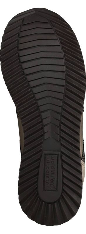 Durlinger Waldlaufer Vicky