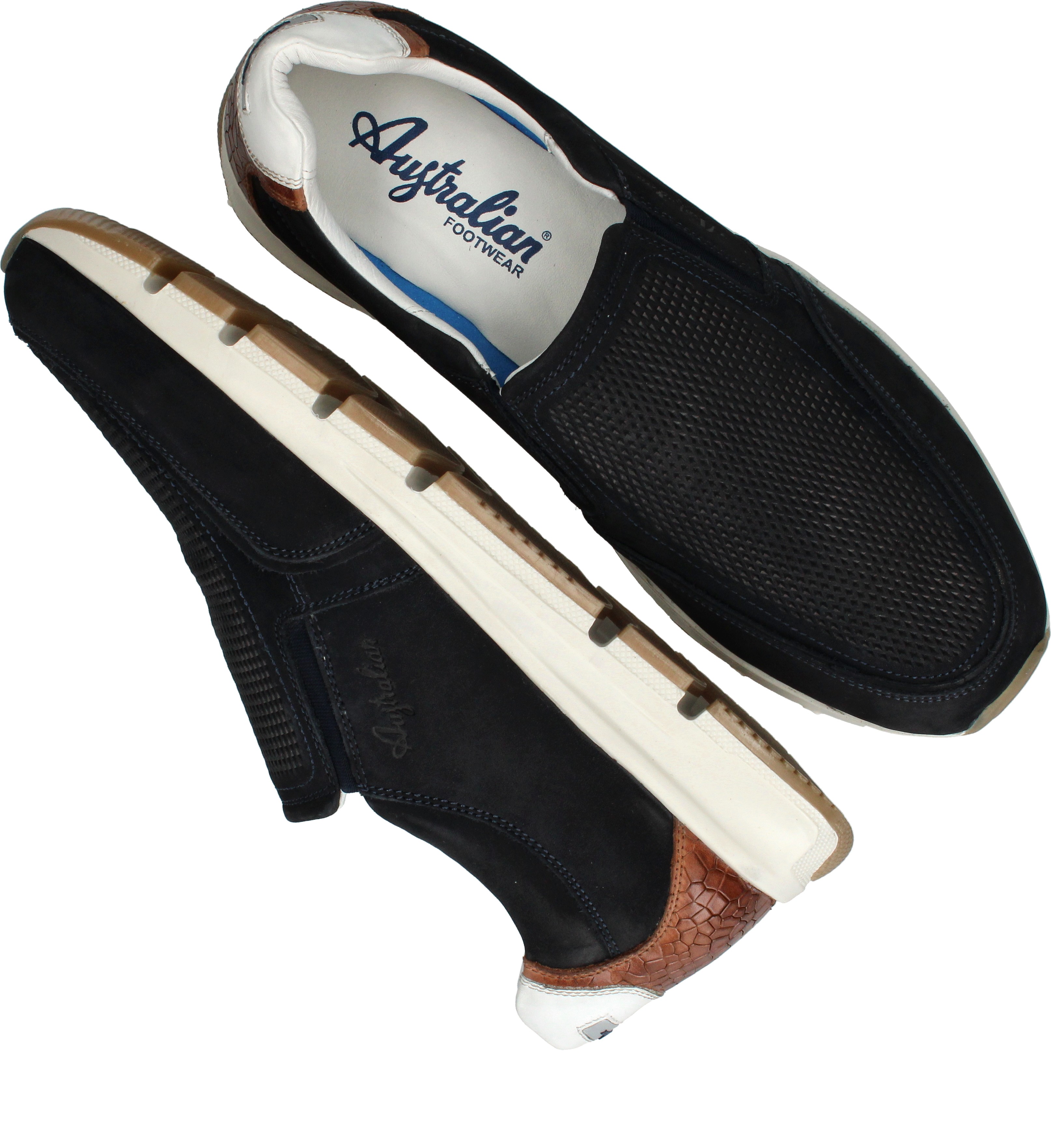 Australian Eagle, Blauw (4)