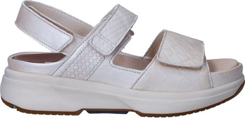 Xsensible Aruba Stretchwalker