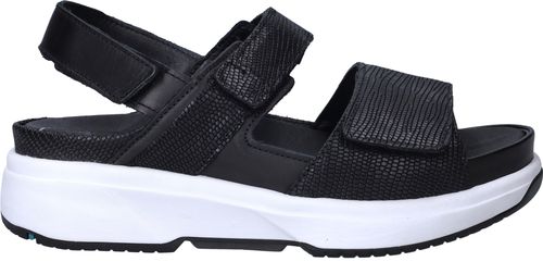 Xsensible Aruba Stretchwalker
