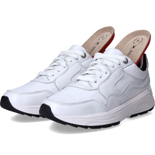 Durlinger Xsensible Golden Gate Stretchwalker