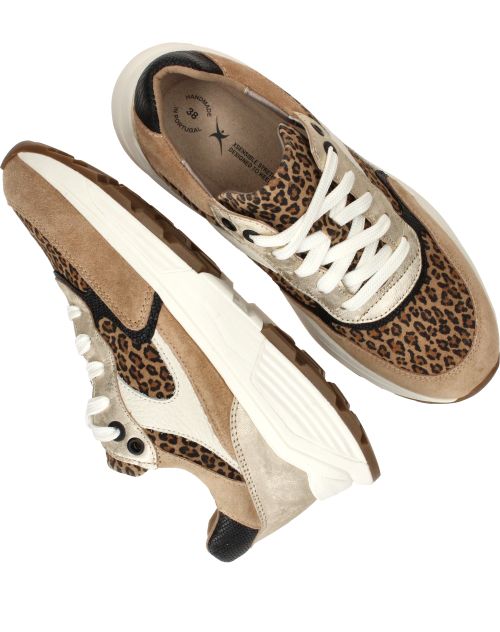 Durlinger Xsensible Ponte Vecchio Stretchwalker