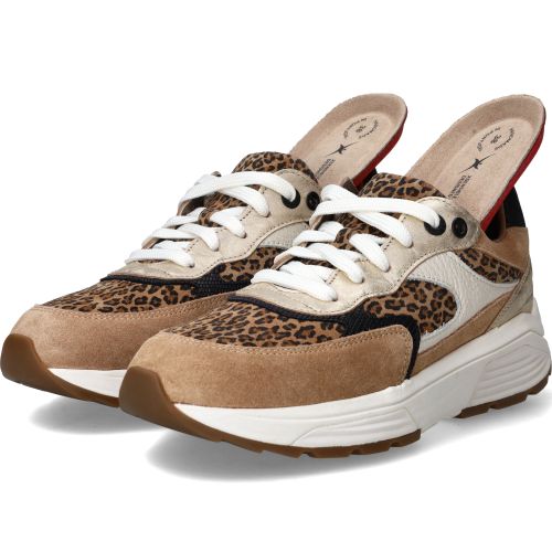 Durlinger Xsensible Ponte Vecchio Stretchwalker