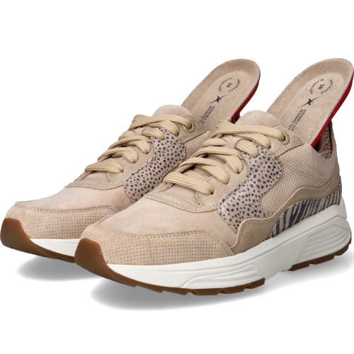 Durlinger Xsensible Golden Gate Stretchwalker