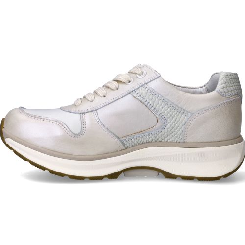 Durlinger Xsensible New Jersey Stretchwalker