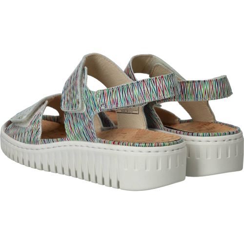 Durlinger Waldlaufer Willow