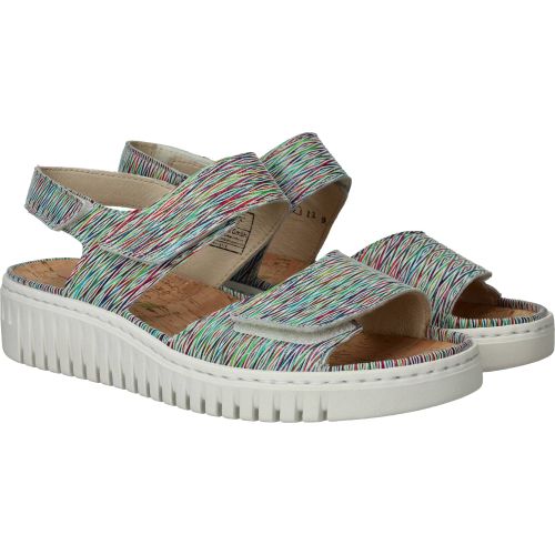 Durlinger Waldlaufer Willow