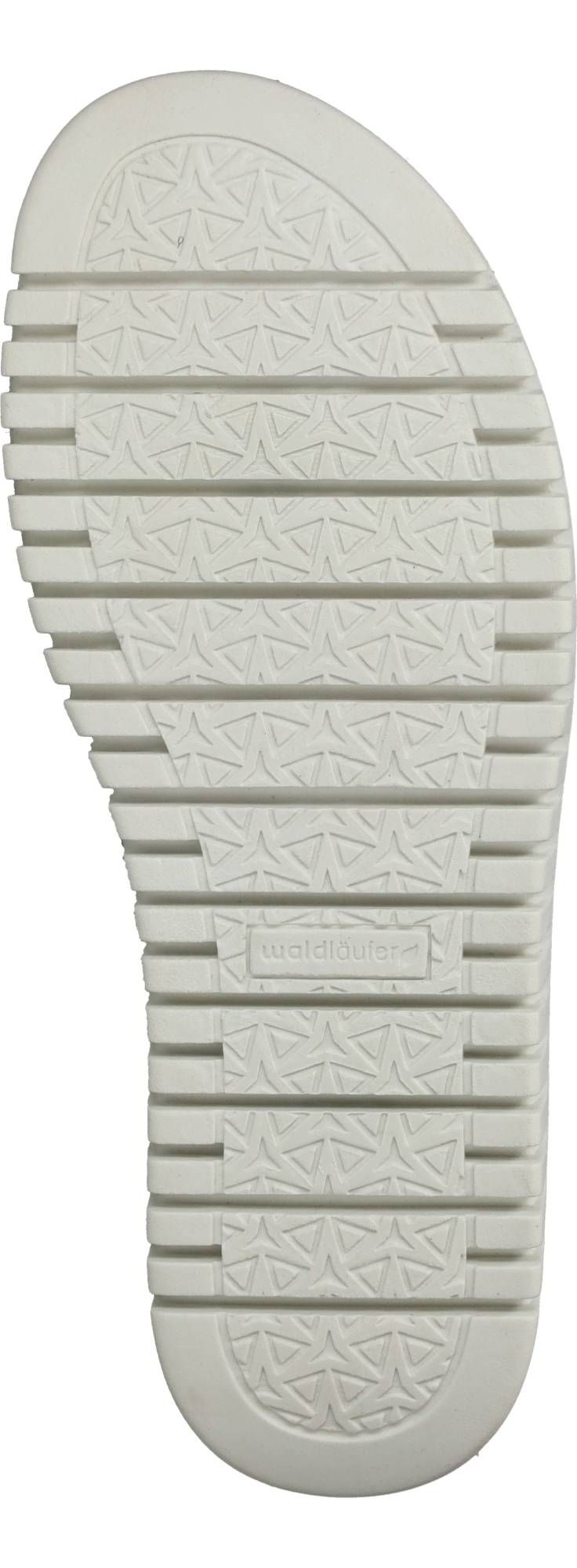 Durlinger Waldlaufer Willow