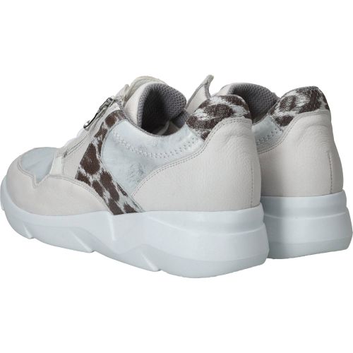 Durlinger Waldlaufer Funky