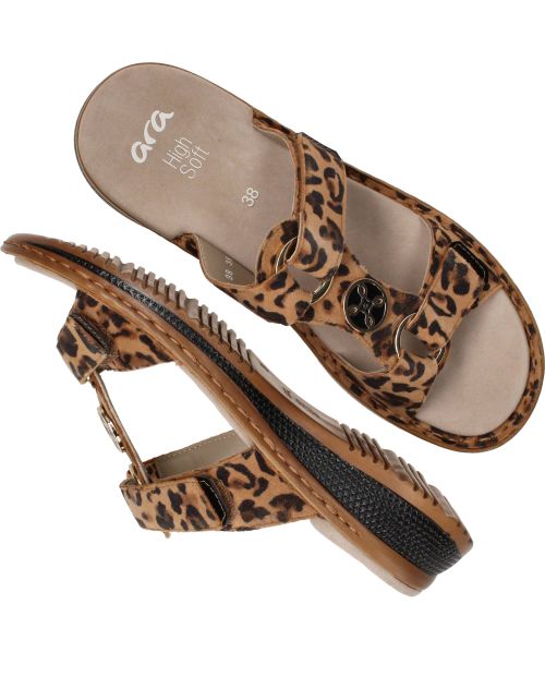 Durlinger Ara Hawaii 2.0