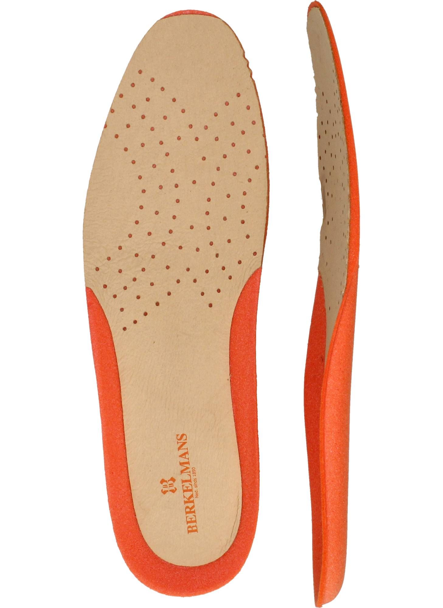 Durlinger Berkelmans Lydden