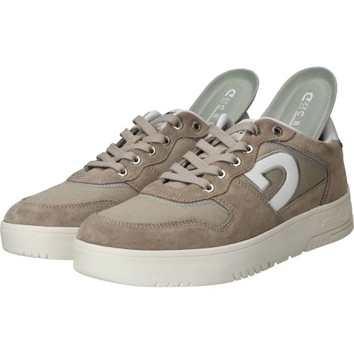 Durlinger Cruyff Royal C