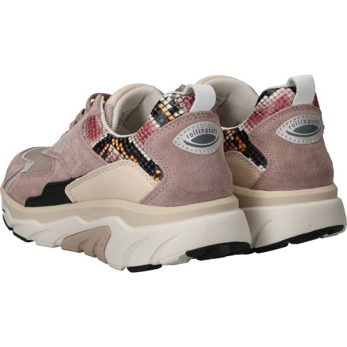 Durlinger Gabor Rollingsoft