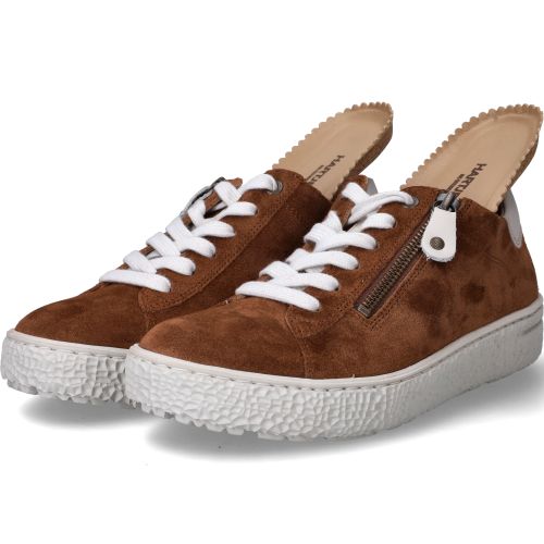 Durlinger Hartjes Phil