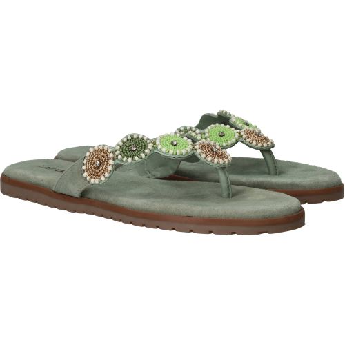 Durlinger Lazamani Mey Toe Rounds
