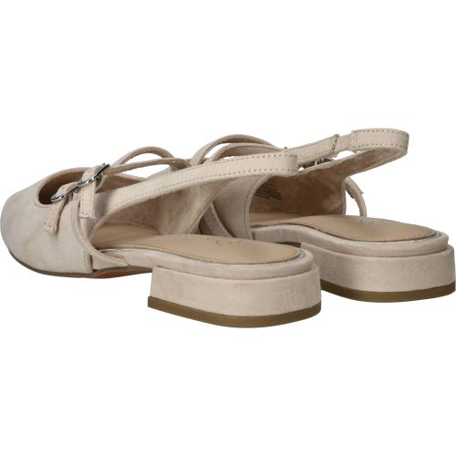 Durlinger MARCO TOZZI