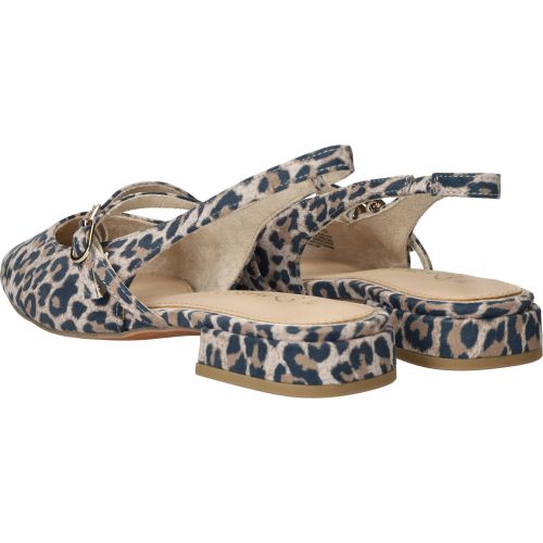 Durlinger MARCO TOZZI