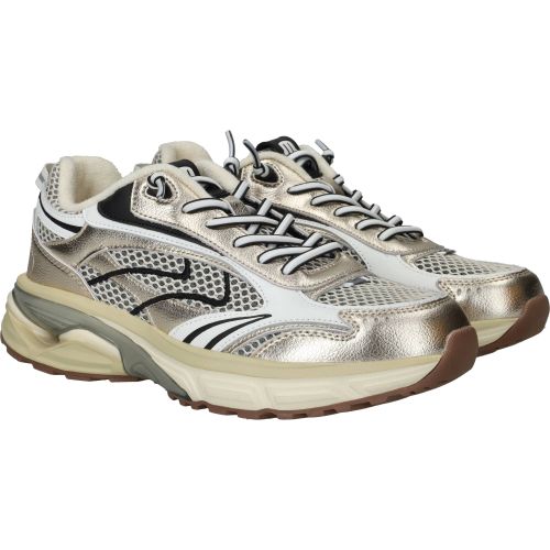 Durlinger Maruti Riva