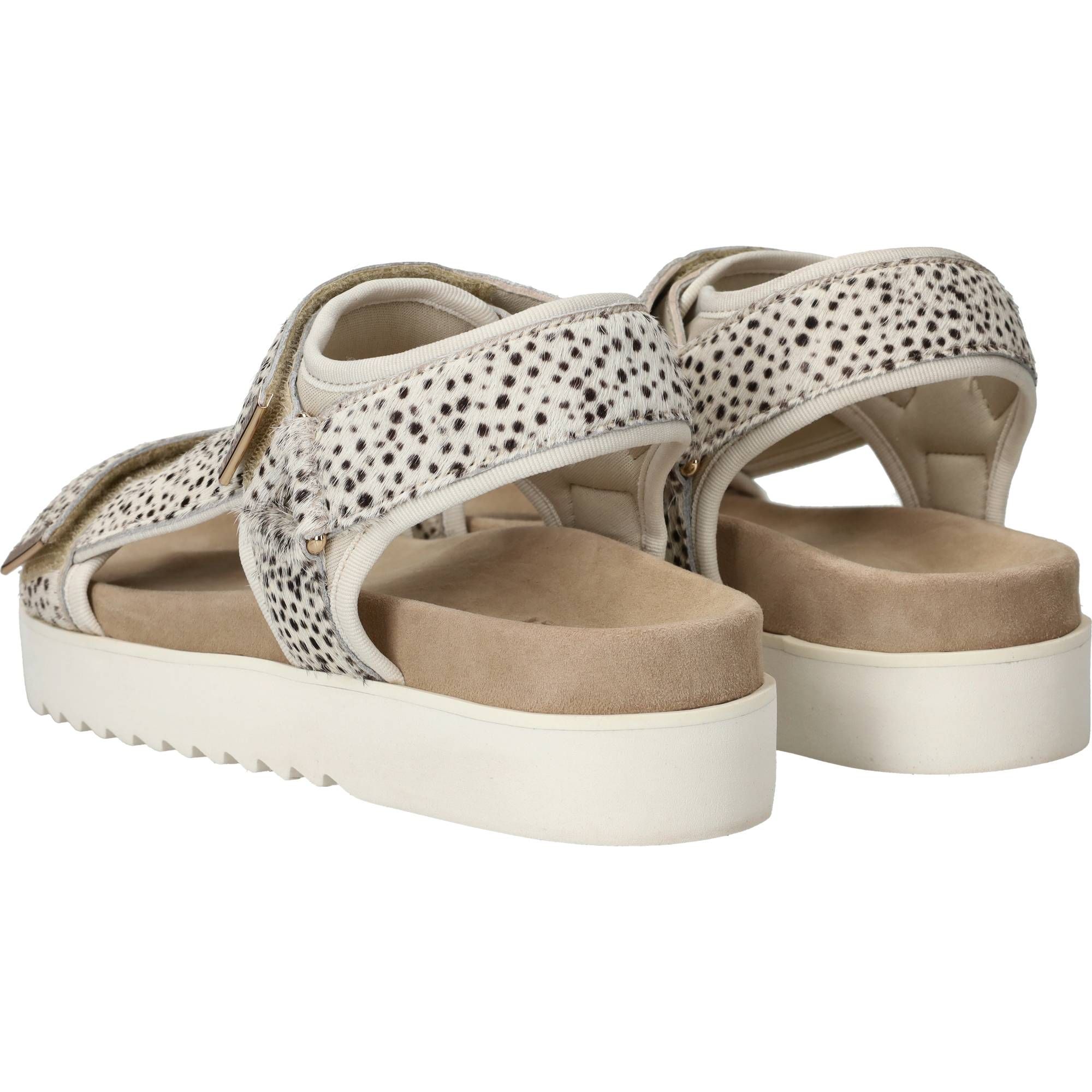 Durlinger Maruti Beau