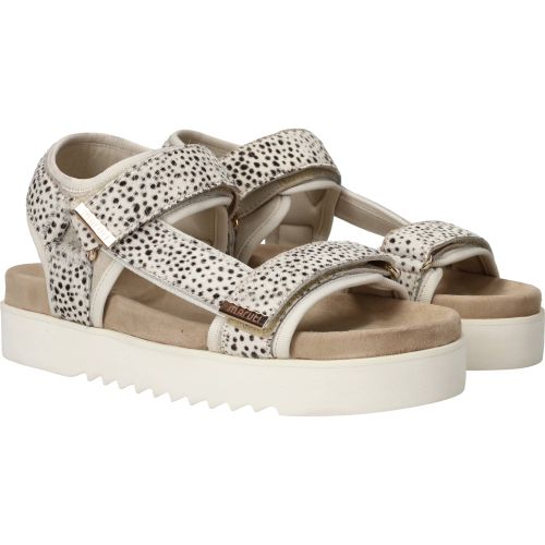 Durlinger Maruti Beau