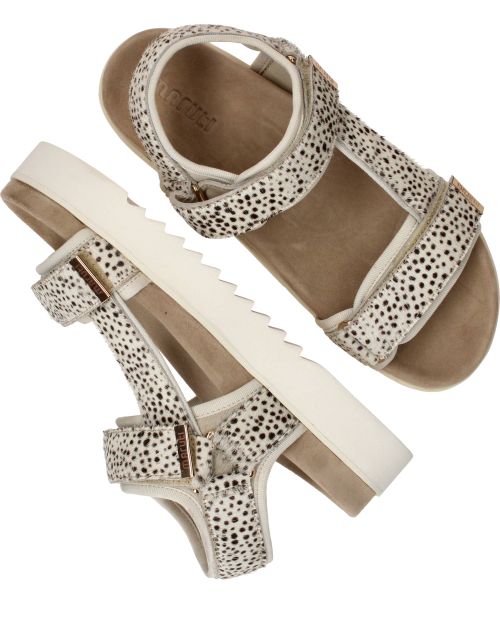 Durlinger Maruti Beau