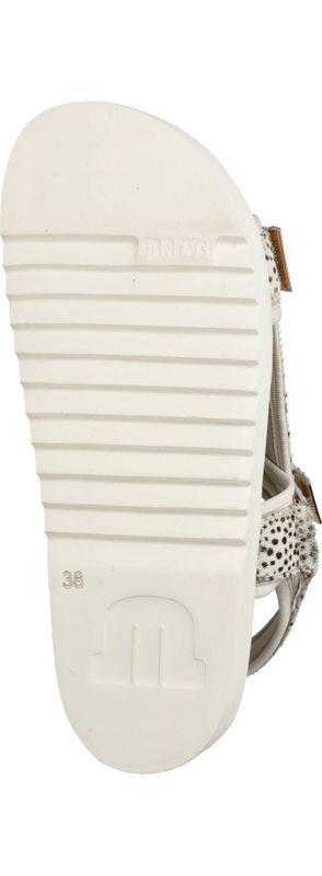 Durlinger Maruti Beau