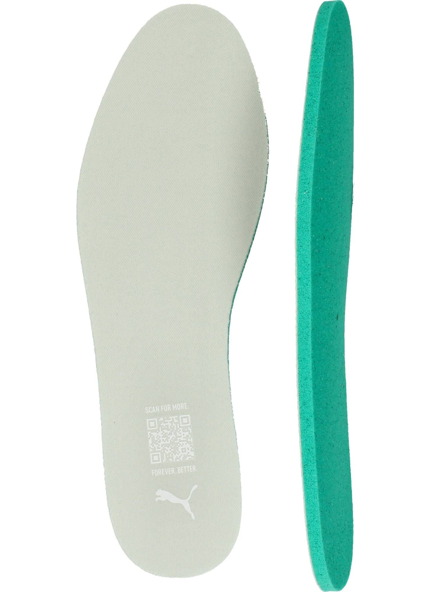 Durlinger Puma Karmen II