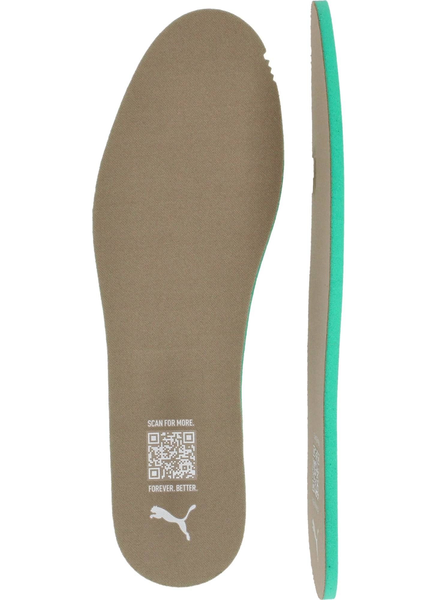 Durlinger Puma Club II Era