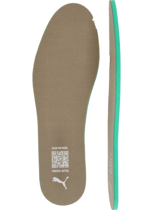 Durlinger Puma Club II Era