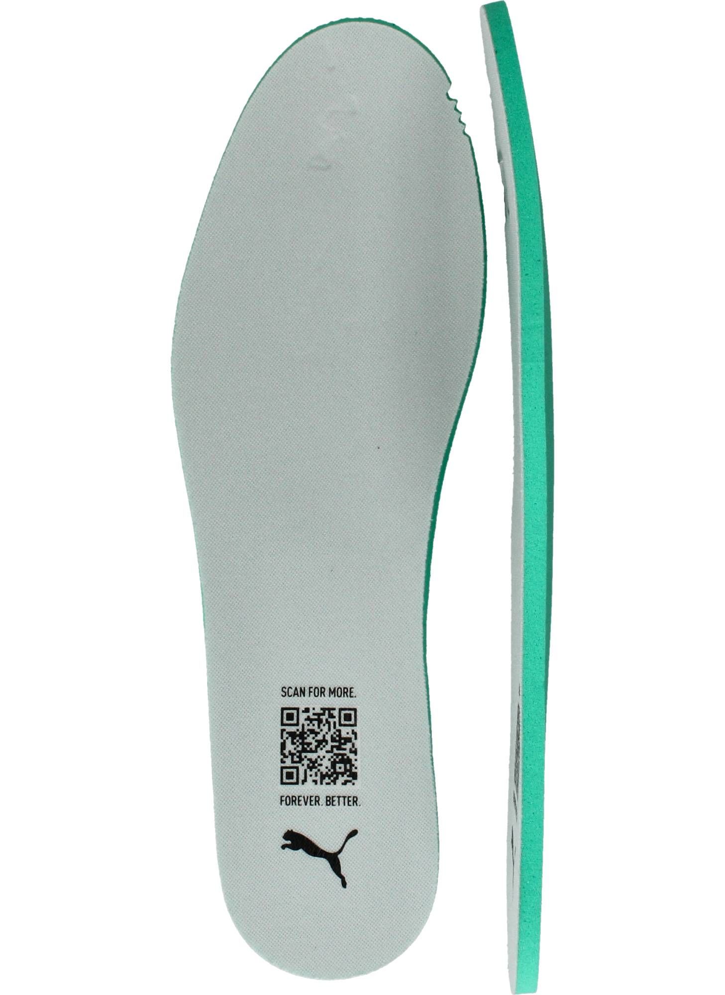 Durlinger Puma Club II Indoor