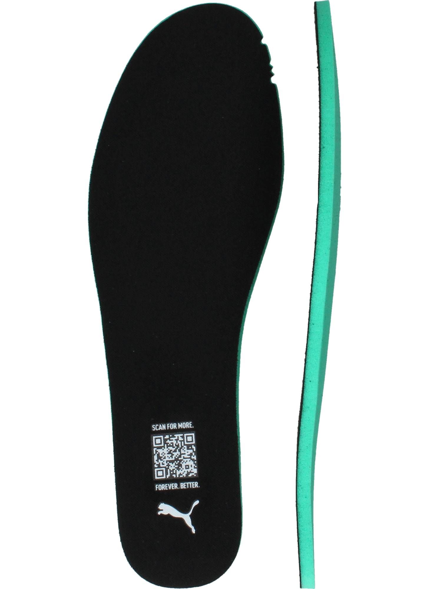 Durlinger Puma Trinity 2 LT