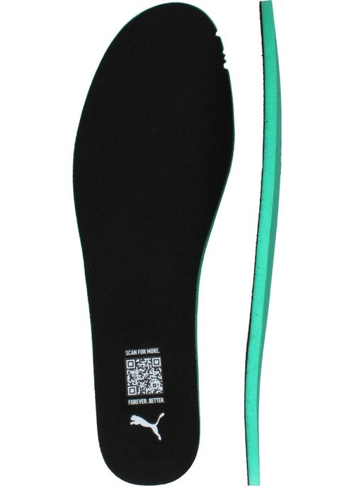 Durlinger Puma Trinity 2 LT