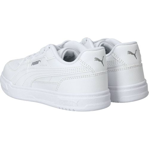 Durlinger Puma  Caven III