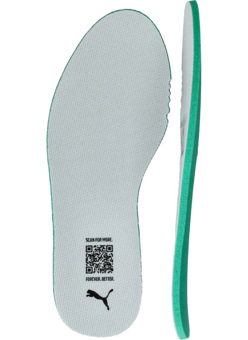 Durlinger Puma  Caven III