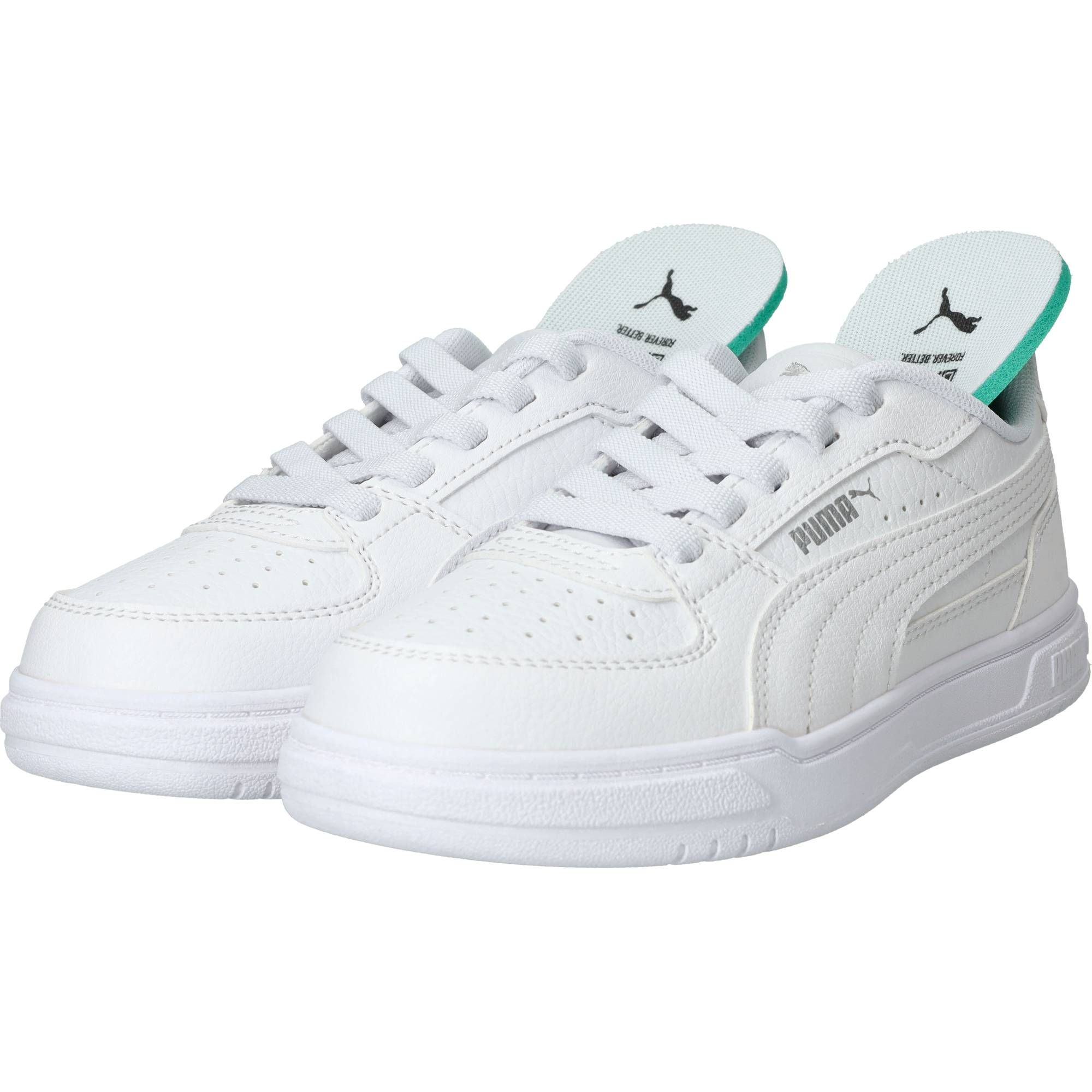 Durlinger Puma  Caven III