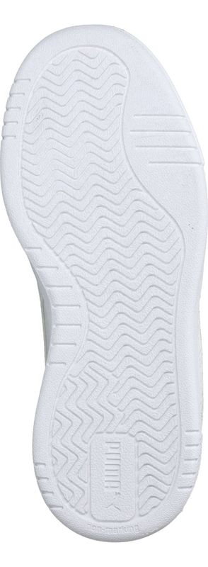 Durlinger Puma  Caven III