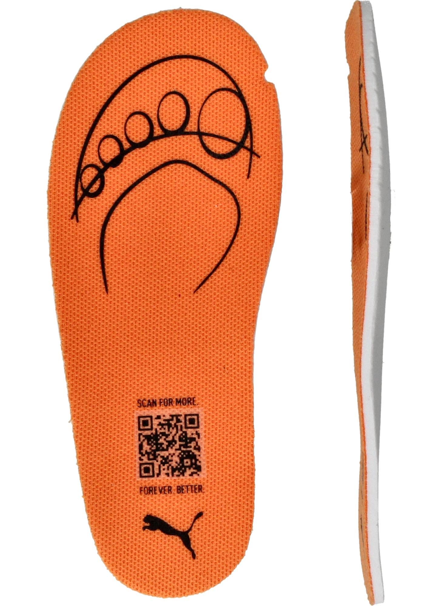 Durlinger Puma Club II Era Summer V