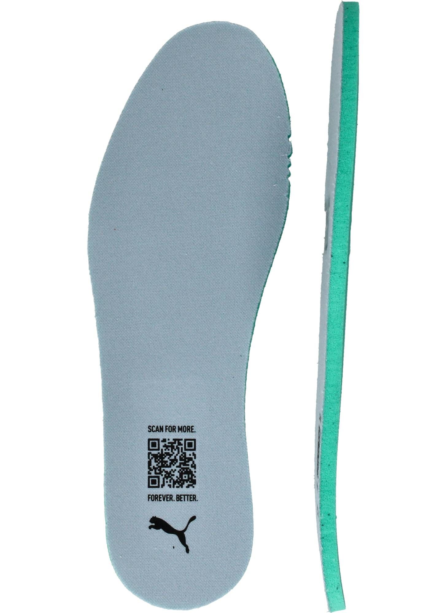 Durlinger Puma Club II Era Exploro