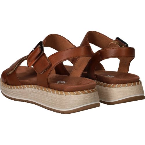 Durlinger Remonte