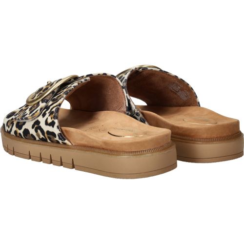 Durlinger Tamaris Comfort