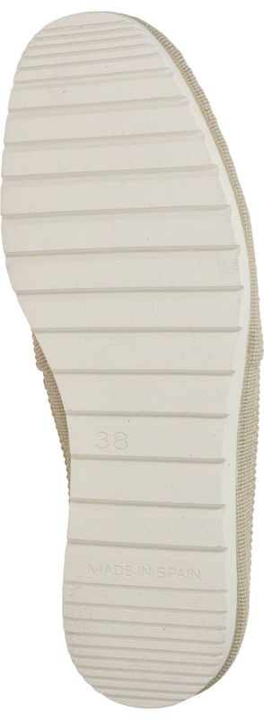 Durlinger Verbenas Noa