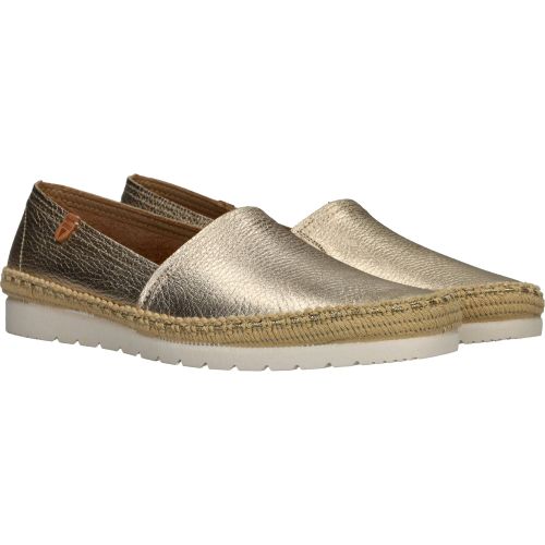 Durlinger Verbenas Noa