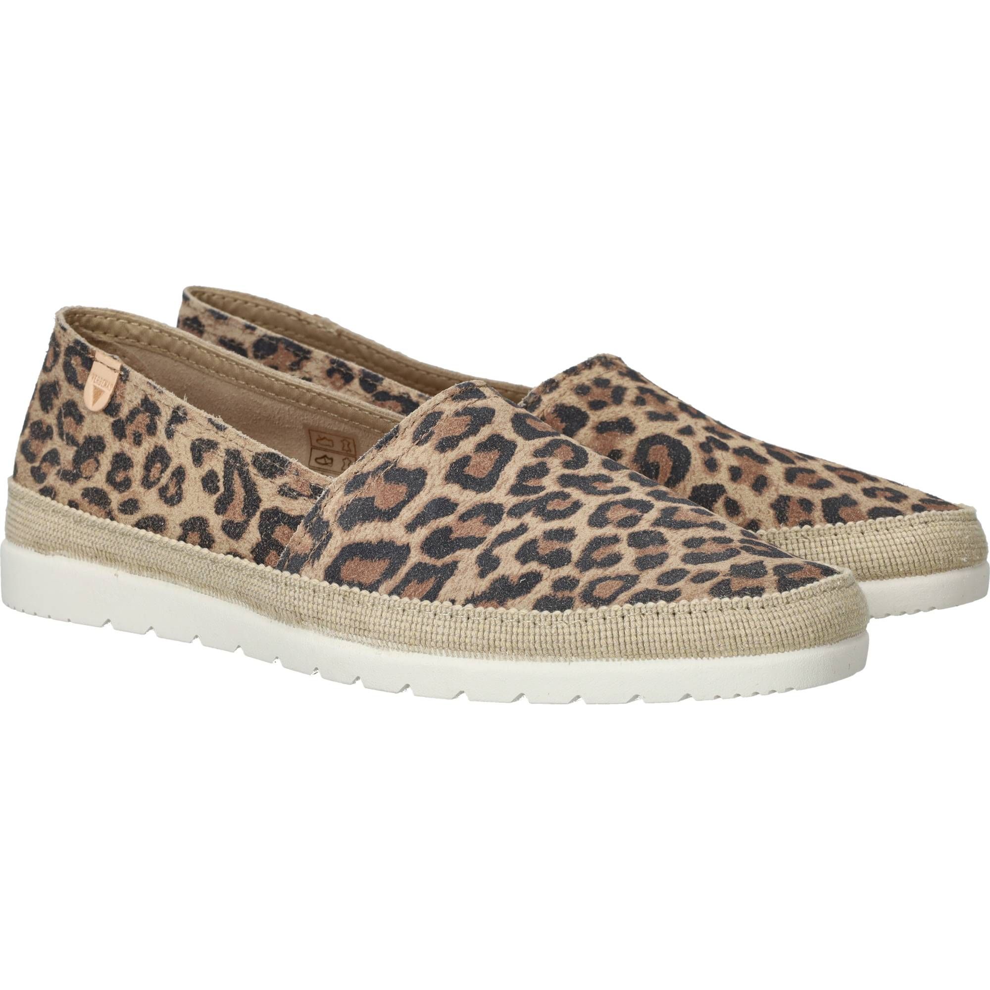 Durlinger Verbenas Noa